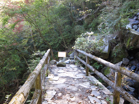 20201105hike (199)
